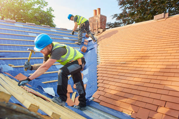 Best Roof Leak Repair  in Chicago Ridge, IL